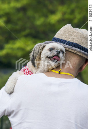 Dogs family Dogs and people Dogs family Dogs and people 24683683