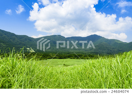 Sengokuhara Susuki prairie Natsu Hakone 24684074