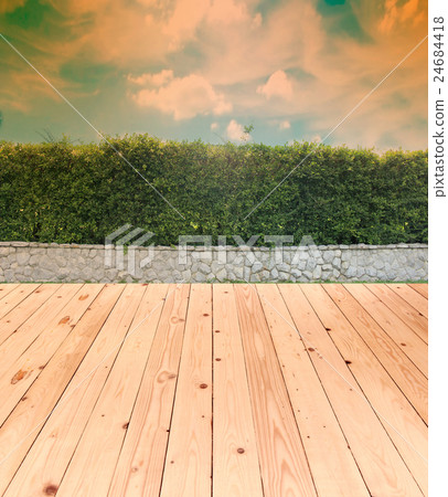 brick wall and ornamental shrub with wood floor 24684418