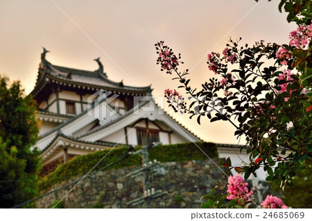 Fukuchiyama castle in the late summer Fukuchiyama castle in the late summer 24685069