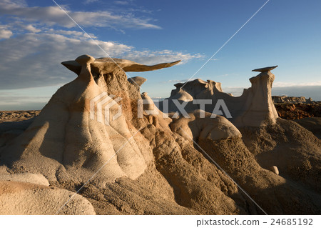 Desert Wings 24685192