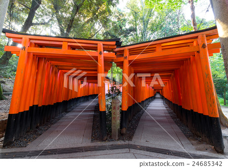 伏見Inari Taisha 24685342
