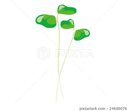 Broccoli Sprout Illustration Broccoli Sprout Illustration 24686076