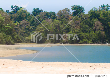 Beach line Indian ocean. Sand, tree, forest. Clean 24687045