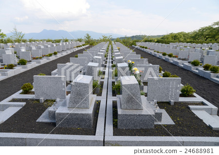 Cemetery 24688981