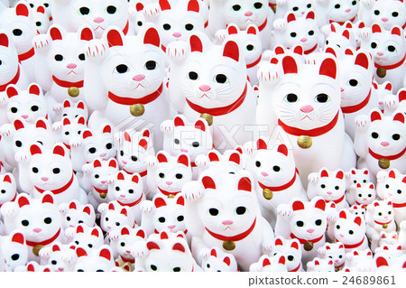 Lucky Cat 24689861