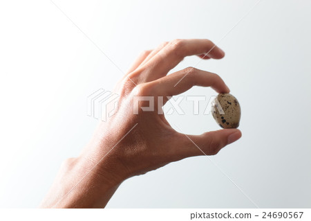Nestling quail. Little Bird had a child in his 24690567