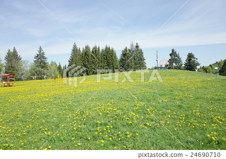 Les Playard Les Playard 24690710