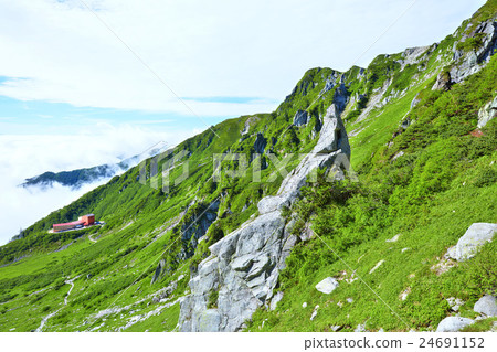 Summer Kiso Komagatake Senjyojiki curl 24691152