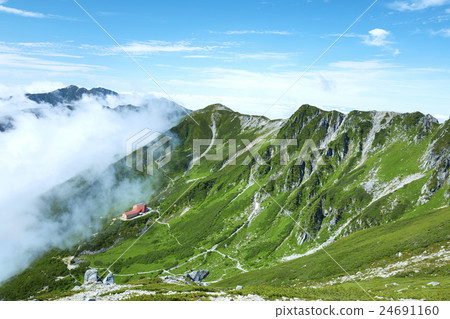 Summer Kiso Komagatake Senjyojiki curl 24691160