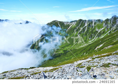 Summer Kiso Komagatake Senjyojiki curl 24691165