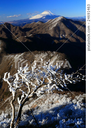 Tanzawa·Hikigagake山頂冰和早晨富士山 24691463