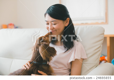 毛孩 狗 狗狗 24693855