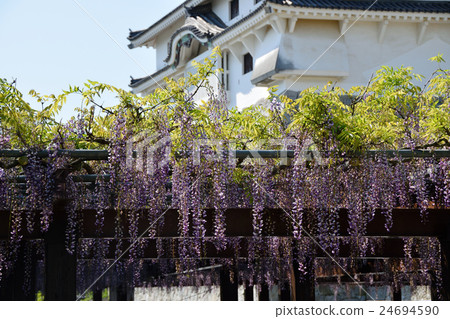 唐津城堡在春天 唐津城堡在春天 24694590