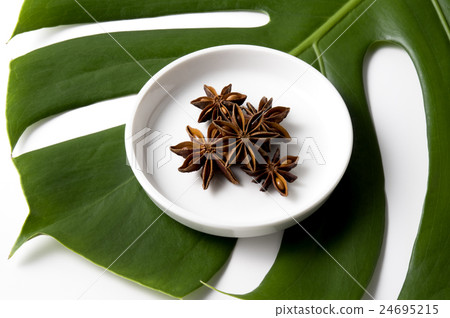 Monstera and octagons 24695215