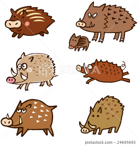 Wild boar 01 Wild boar 01 24695693