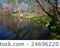 Spring mirror pond 24696220
