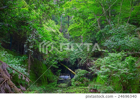 [千葉縣] 410國道（三島廢棄隧道前） 24696340