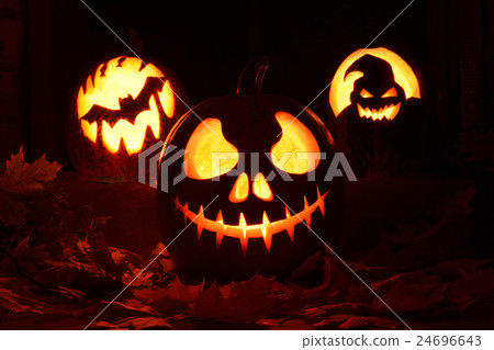 Pumpkin halloween 24696643