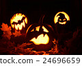 Pumpkin halloween 24696659