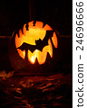 Bat on Halloween pumpkin 24696666
