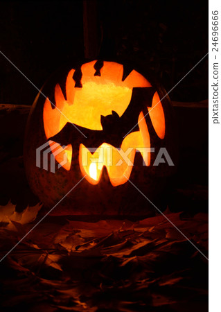 Bat on Halloween pumpkin Bat on Halloween pumpkin 24696666