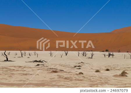 View from Dead Vlei, Namibia. Red dunes 24697079