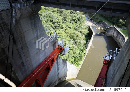 Ryu Pear Dam 24697941