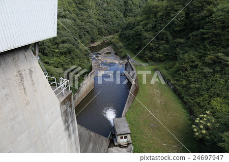 Ryu Pear Dam 24697947