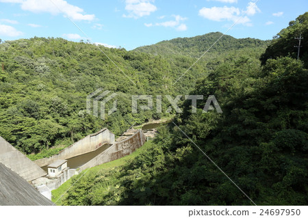 Ryu Pear Dam 24697950