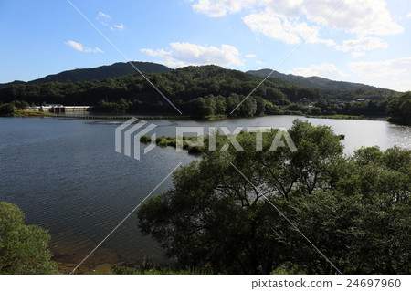 Ryu Pear Dam 24697960