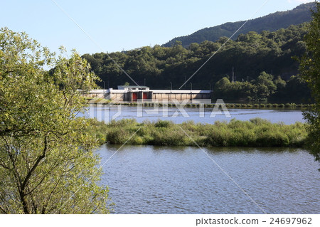 Ryu Pear Dam 24697962