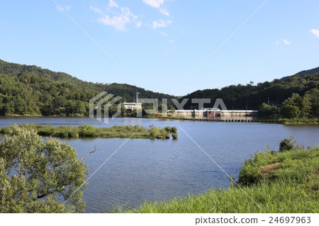 Ryu Pear Dam Ryu Pear Dam 24697963