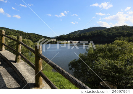 Ryu Pear Dam 24697964