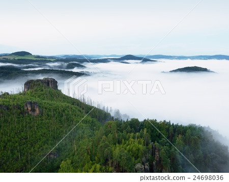 Magnificent landscape. Autumn creamy fog country 24698036