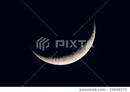 Crescent Moon Crescent Moon 24698573