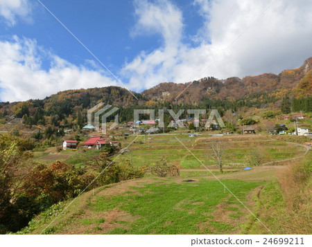 栃木縣的水稻梯田 栃木縣的水稻梯田 24699211