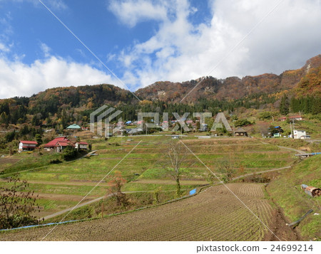 Rice terrace of Tochigokura Rice terrace of Tochigokura 24699214