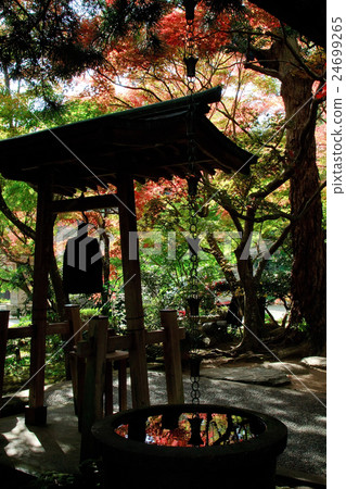 Kamakura Gaien-ji Temple of autumn leaves Kamakura Gaien-ji Temple of autumn leaves 24699265