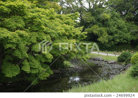 Rurin Park (Ogawa) 24699924