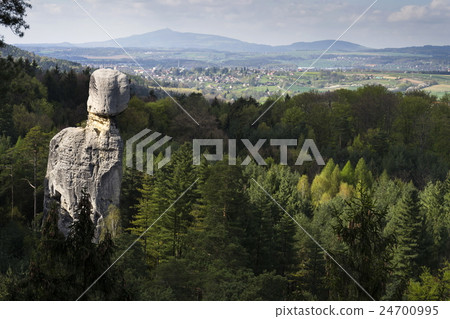 Sandstone rocks around Hruba Skala Castle Sandstone rocks around Hruba Skala Castle 24700995