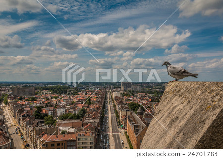 Panoramic view of Brussels Belgium 24701783