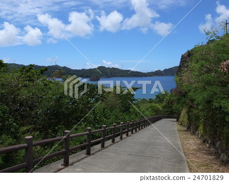 Chichijima / Tanoura Coast 24701829