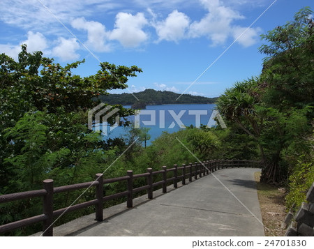 Chichijima / Tanoura Coast 24701830