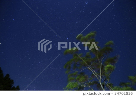 仙後星座 24701836