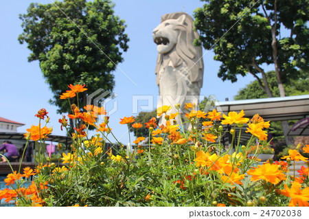 Merlion Statue in Singapore 24702038