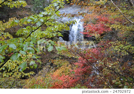 禦寒井谷的秋葉 禦寒井谷的秋葉 24702972