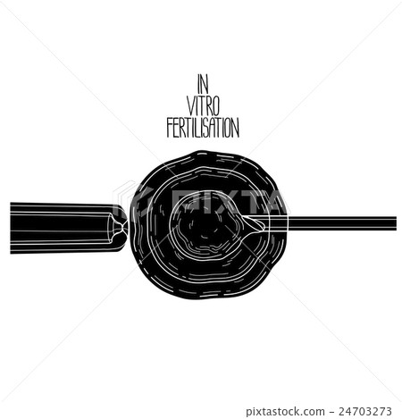 In vitor fertilisation 24703273