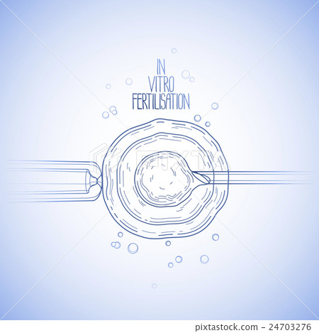 In vitor fertilisation 24703276