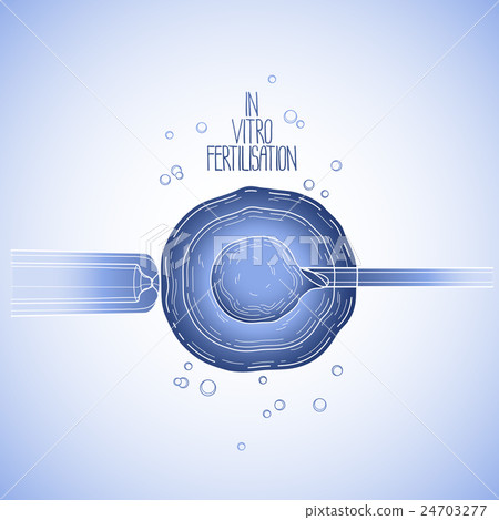 In vitor fertilisation 24703277